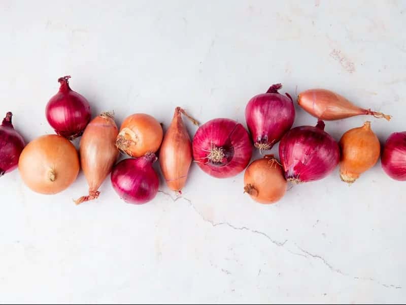 Луковая шелуха как удобрение: как приготовить настой для полива комнатных цветов