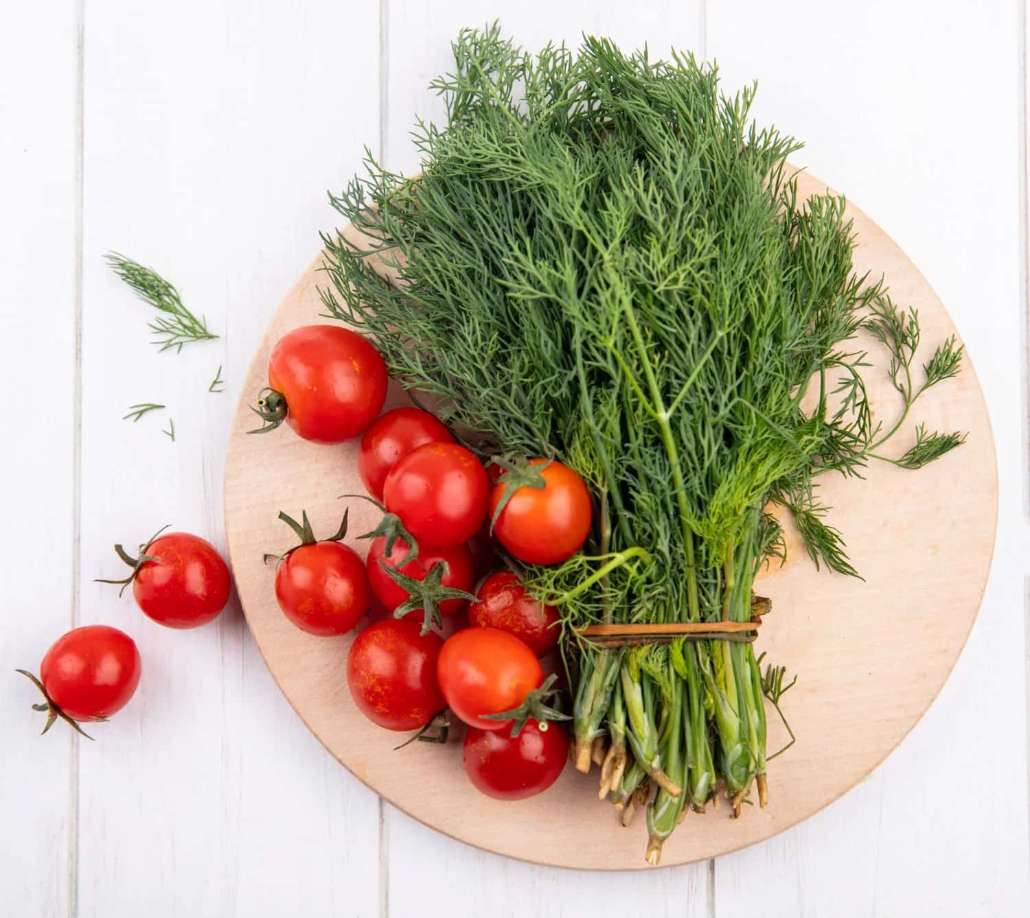 Как посадить укроп, чтобы он рос самосевом: 5 главных секретов постоянного урожая