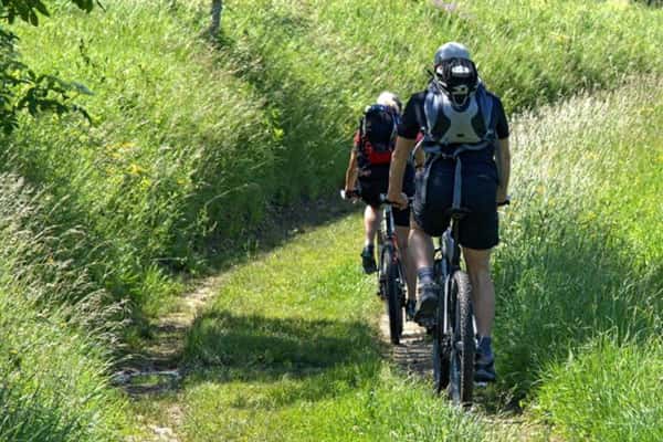 Через «Большую Сысерть» планируют запустить межрегиональный веломаршрут
