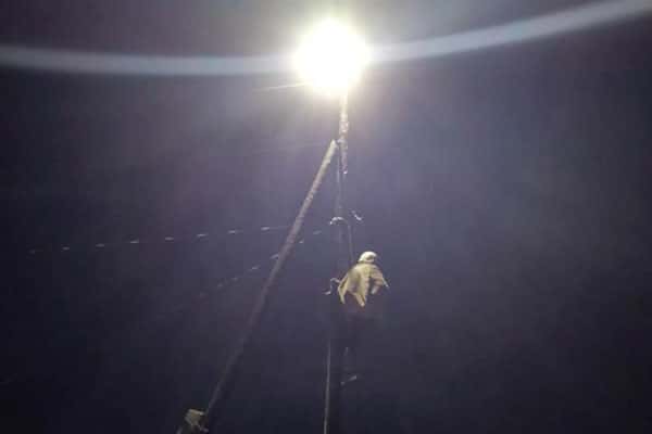 В поселке под Сысертью спасли кота, застрявшего на столбе