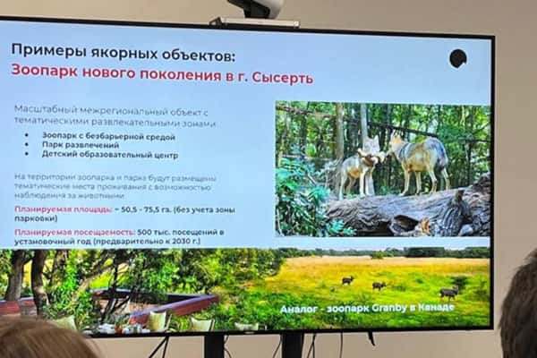 В Сысерти предложили создать безбарьерный зоопарк с дополненной реальностью