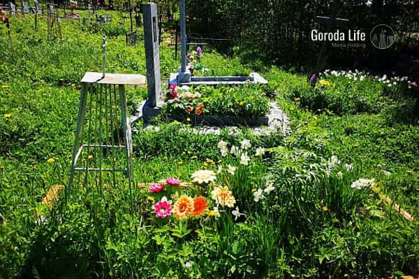 Раскрытие тайника с наркотиками на кашинском кладбище: уголовное дело возбуждено после доследственной проверки