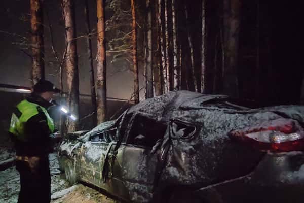 Водитель влетел в дерево! Под Екатеринбургом в ДТП погиб пассажир легковушки, двое пострадали