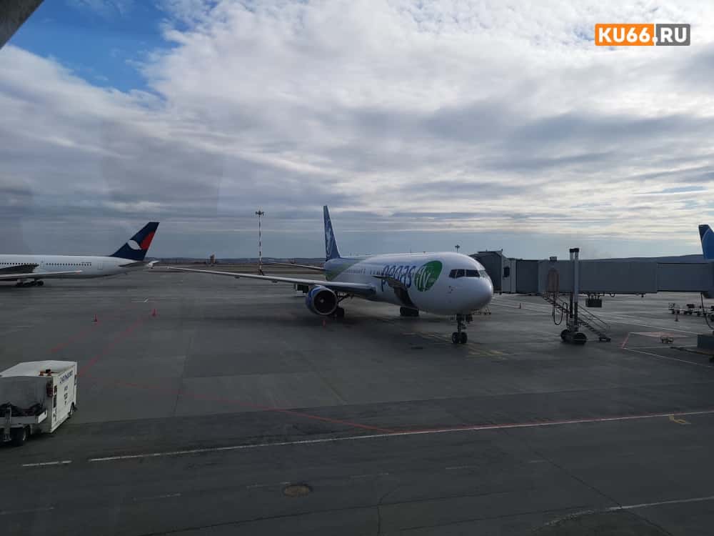 В аэропорту Екатеринбурга задержан китаец с чемоданом бюстгальтеров