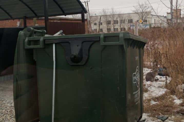 В Арамиле прекратят бесконтейнерный способ сбора ТКО