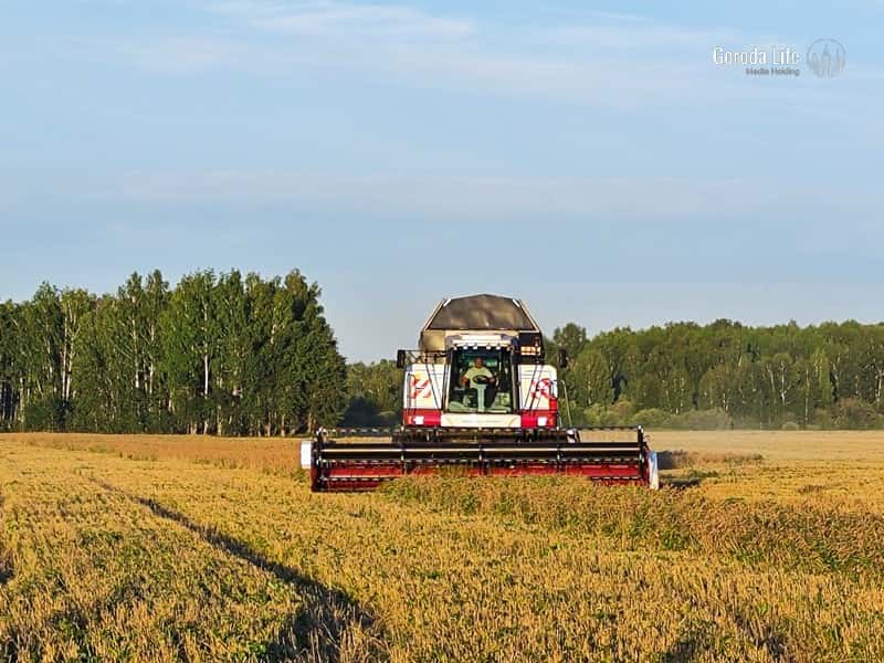 В Сысертском муниципальном округе стартовала посевная кампания