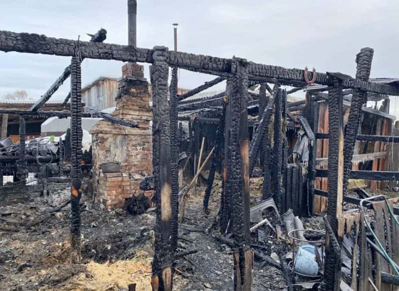 Пожар в конюшне Сысерти унес жизни двух человек, спасены лошади