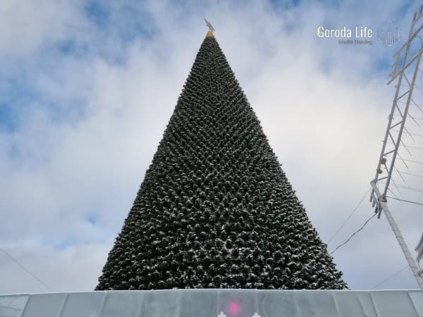 В Арамиле 20 декабря откроют главную новогоднюю ёлку города