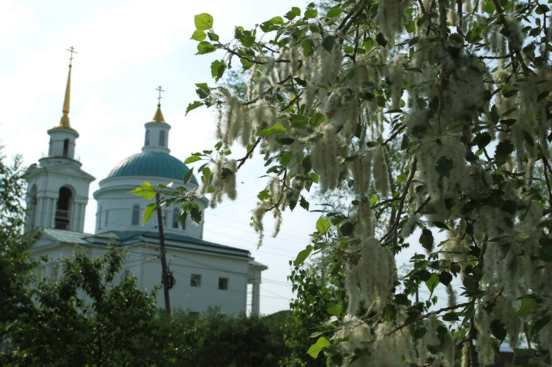«Раньше не было там никакого забора». Арамилец предложил перенести забор от церкви, чтобы сделать небольшой парк и даже танцпол для молодежи «Раньше не было там никакого забора». Арамилец предложил перенести забор от церкви, чтобы сделать небольшой парк и даже танцпол для молодежи