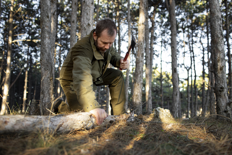 Садоводы под Сысертью обеспокоены рубкой леса возле трассы М5 | Жители СНТ под Сысертью пожаловались на вырубки лесов