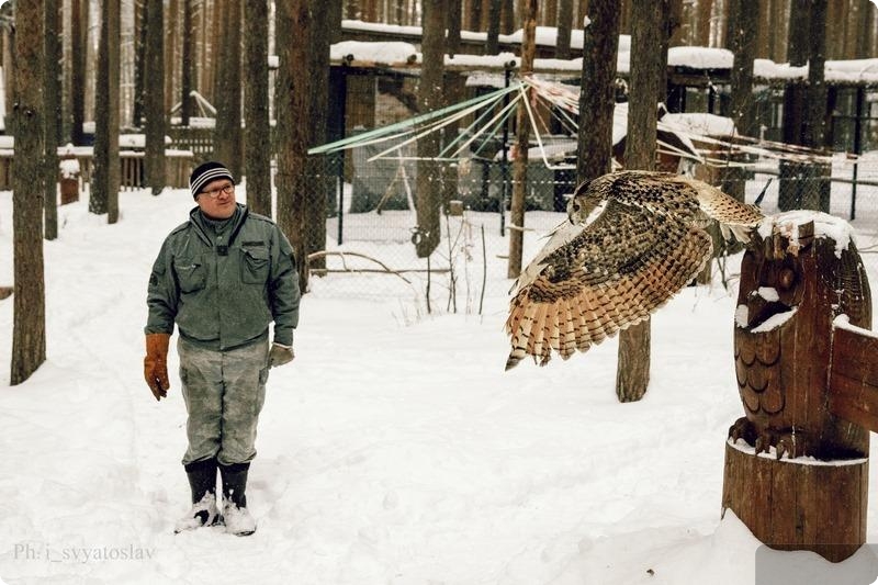 В природном парке под Сысертью хотят выпустить филинов для восстановления популяции | На Урале будут восстанавливать популяцию филина В природном парке под Сысертью хотят выпустить филинов для восстановления популяции | На Урале будут восстанавливать популяцию филина