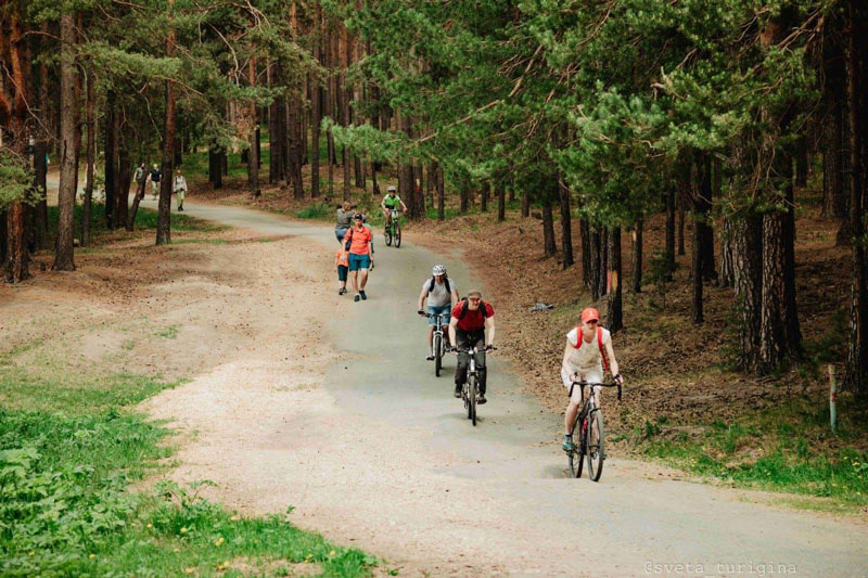 Массовая оздоровительная прогулка по живописным тропам в окрестностях Сысерти: подготовлены пять маршрутов для гостей | Стала известна дата проведения Сысертской Майской прогулки