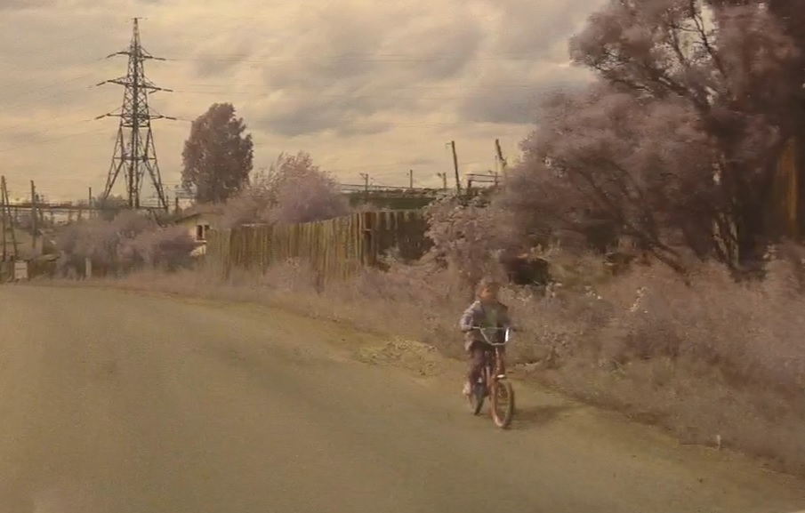 Чей ребенок ездит на велосипеде по обочине оживленной дороги по пути из пос. Светлого на станцию Арамиль? Водитель: «Девочка очень рискует!» Чей ребенок ездит на велосипеде по обочине оживленной дороги по пути из пос. Светлого на станцию Арамиль? Водитель: «Девочка очень рискует!»