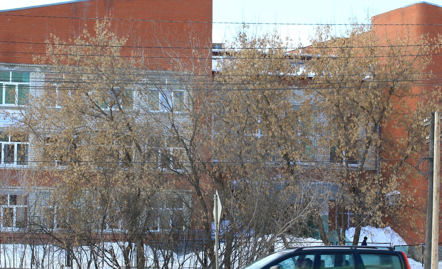 Сравните со своими. Стало известно, какие зарплаты были в 2019 году у директоров арамильских школ, заведующих садиками и руководителей МУПов