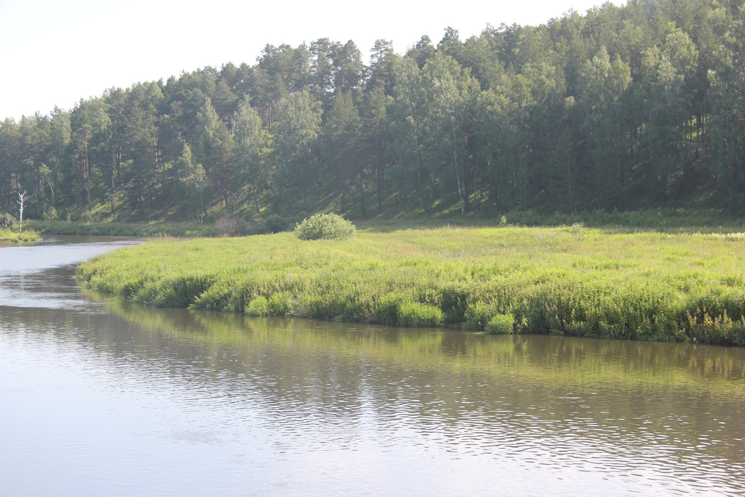 «Сливается канализация»: уральскую реку, бегущую по территории Арамиля, берут под особый контроль — стартует проект «Чистые берега Исети»
