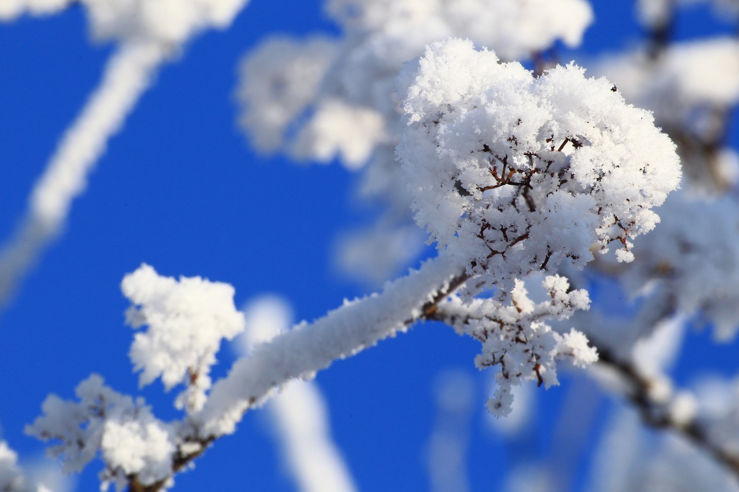 Терпим. Впереди у россиян шестидневная рабочая неделя перед новогодними каникулами: будет морозно и напряженно! Терпим. Впереди у россиян шестидневная рабочая неделя перед новогодними каникулами: будет морозно и напряженно!