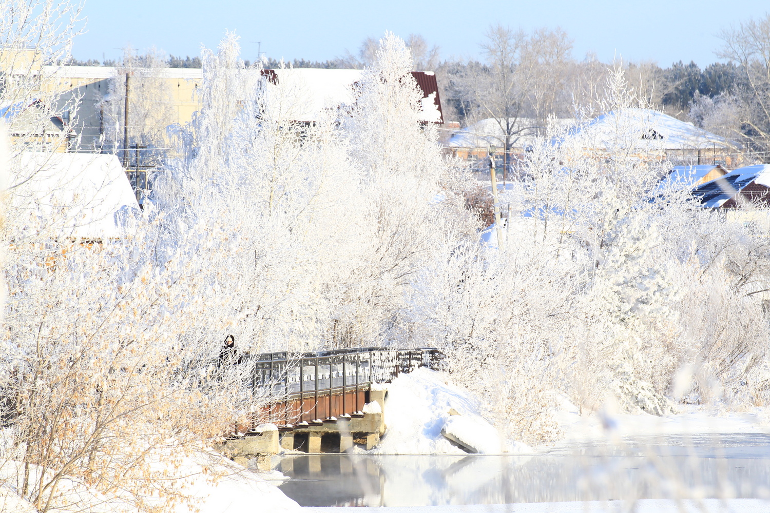 Замерзшее стекло, побелевший пруд и ослепительное солнце с эффектом гало — все, чем запомнились нам эти морозные дни в Арамиле