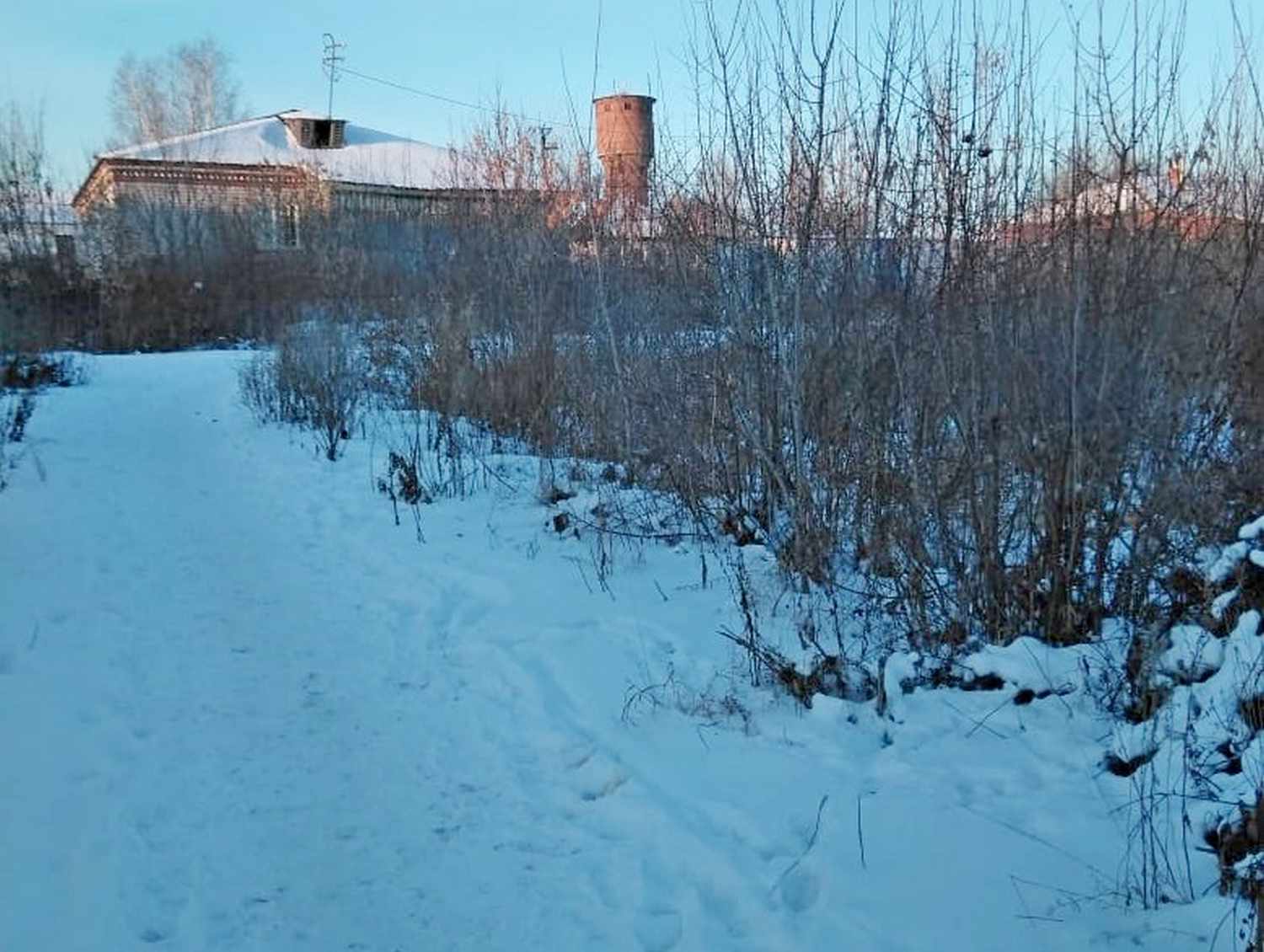 Родители в панике: в школе № 4 раздали анкеты с вопросами об обучении через интернет. Разве здание будут строить не там, где планировалось?