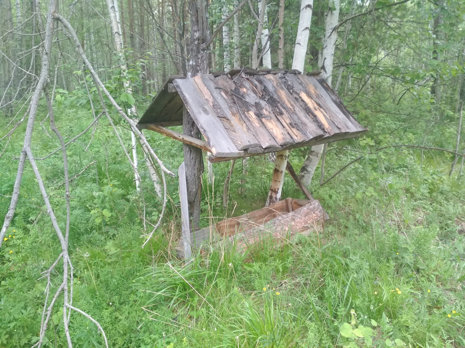 ГБУ незаконно требовало с посетителей парка «Бажовские места» в Сысерти деньги за вход. Прокуратура вмешалась, суд спорить не стал... ГБУ незаконно требовало с посетителей парка «Бажовские места» в Сысерти деньги за вход. Прокуратура вмешалась, суд спорить не стал...