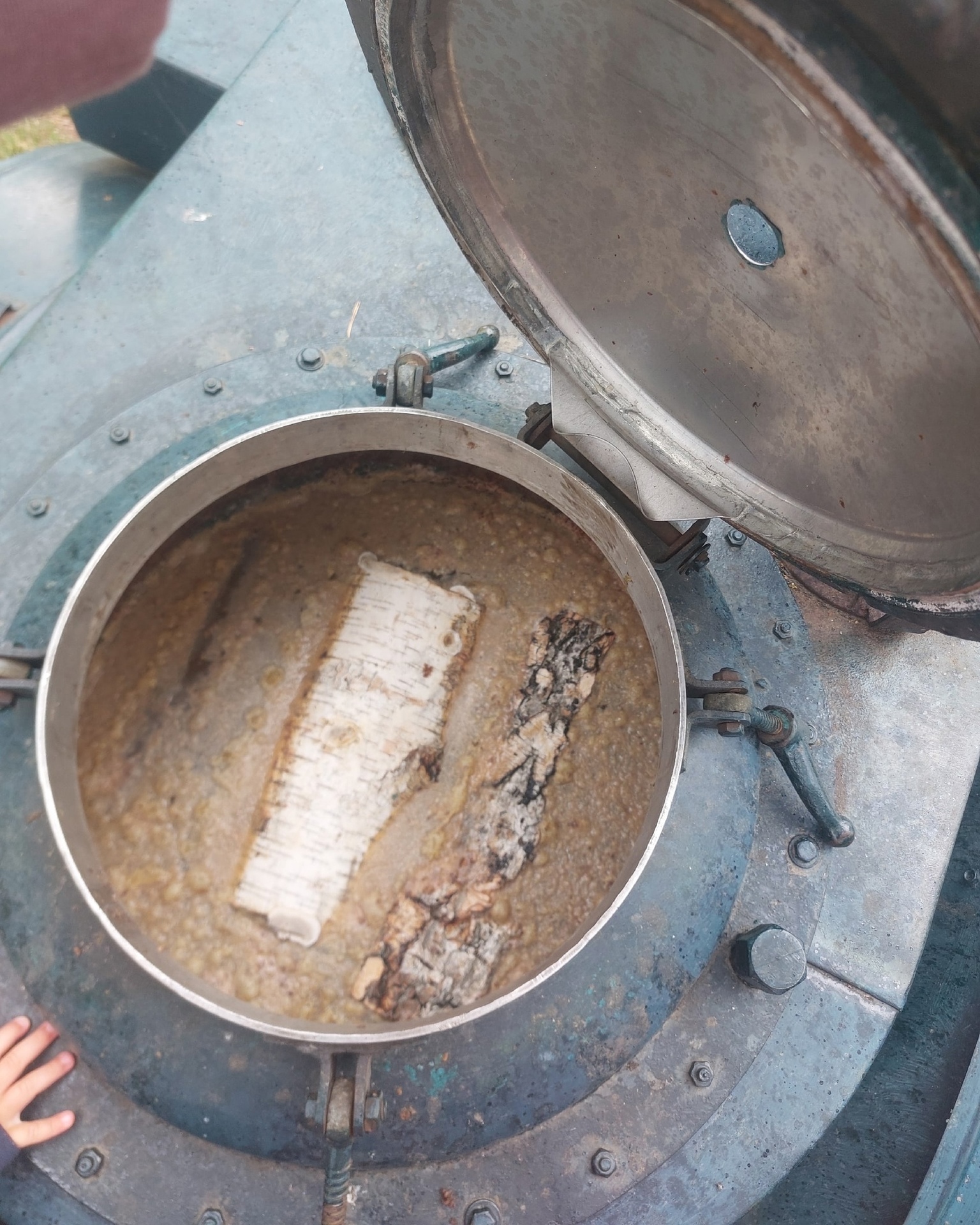 Семья из Арамиля гуляя в парке обнаружила странную находку Семья из Арамиля гуляя в парке обнаружила странную находку