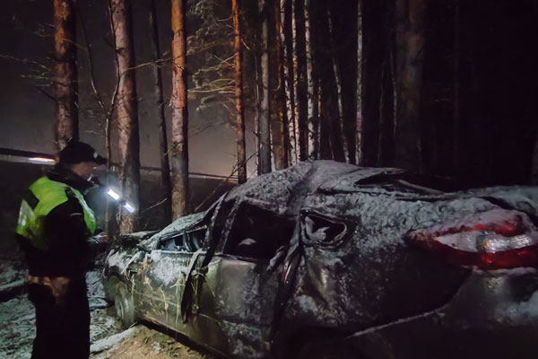 Водитель влетел в дерево! Под Екатеринбургом в ДТП погиб пассажир легковушки, двое пострадали | На Урале в страшном ДТП погиб пассажир отечественной легковушки