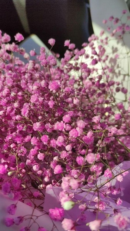 Идеи подарков на май и июнь: вдохновение для каждого случая | Май и июнь – месяцы, наполненные яркими красками и теплыми днями, время, когда природа расцветает, а поводы для празднования множатся