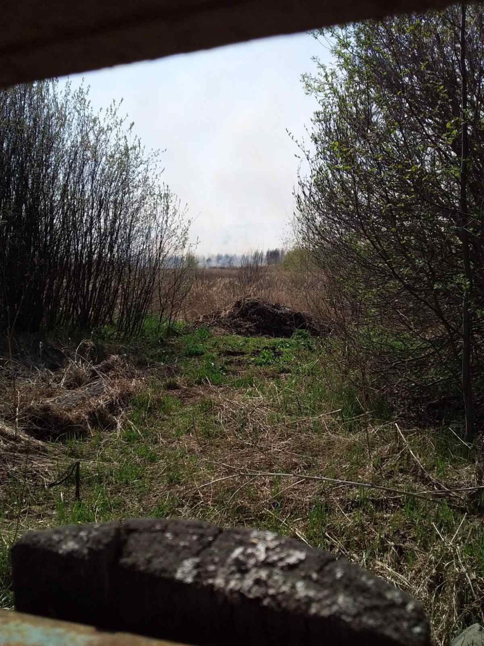 В окрестностях арамильского поселка Светлый люди заметили пожар — спасатели полагают, это результат беспечности отдыхающих В окрестностях арамильского поселка Светлый люди заметили пожар — спасатели полагают, это результат беспечности отдыхающих