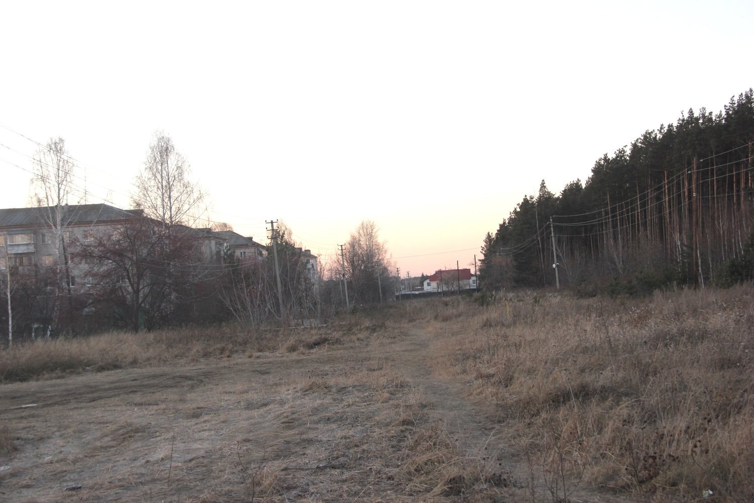 Власть покушается на святое для арамильцев место — пустырь у леса по ул. Садовой для стройки многоквартирников. Жители категорически против!