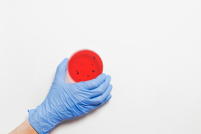 В Арамиле за сутки зарегистрировано 45 новых случаев COVID-19, в Сысерти - 12 В Арамиле за сутки зарегистрировано 45 новых случаев COVID-19, в Сысерти - 12