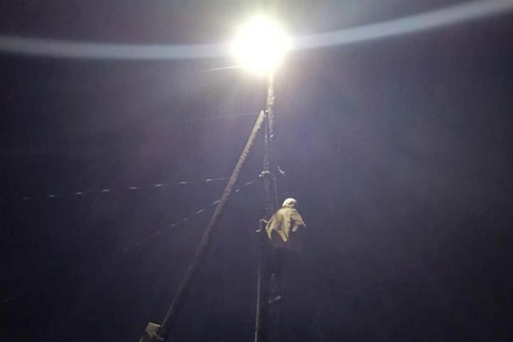 В поселке под Сысертью спасли кота, застрявшего на столбе